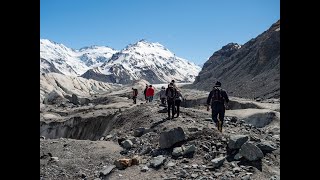 Exploring New Zealand Wild Kiwi Tours