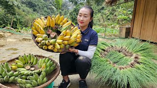 Harvesting Scallion Garden, Banana Goes to market sell - Cooking | Ly Thi Tam