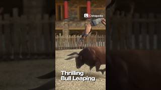 Origins of Thrilling Bull Leaping: The Ancient Festival of Crete Civilization #cartoon #funfacts #