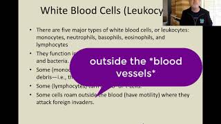 Circulatory System Part 2