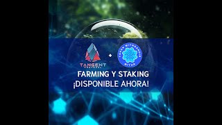 Noticias de Token MITHR (Mithrandir) del 2 de septiembre de 2023