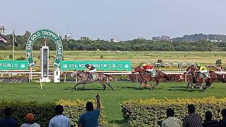 #@HORSERACINGNETWORK. | #PUNE 𝚁𝙰𝙲𝙴 - 09 Sep 2023 | PUNE 𝙷𝙾𝚁𝚂𝙴 𝚁𝙰𝙲𝙸𝙽𝙶 𝚂𝙴𝙻𝙴𝙲𝚃𝙸𝙾𝙽 / 𝚃𝙸𝙿𝚂.