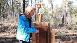 Pine Straw Baler Demonstration