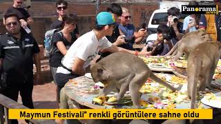 Maymun Festivali renkli görüntülere sahne oldu