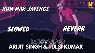 Hum Mar Jayenge (Slowed+Reverb)- Arijit Singh | Tulsi Kumar | Use Headphone