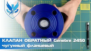 ⛲️Клапан обратный фланцевый Genebre 2450 🎥 | АРМАШОП