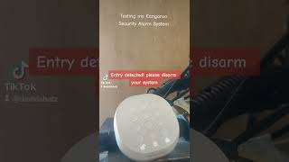 Kangaroo Security system Entry delay test