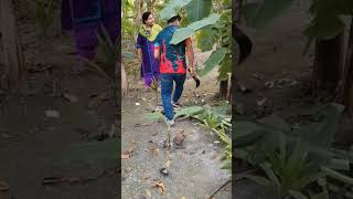 Village life Part 01. #shortsvideo #village #shariatpur #bangladesh #nature #banana