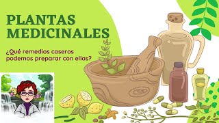 Vida Saludable, Plantas medicinales