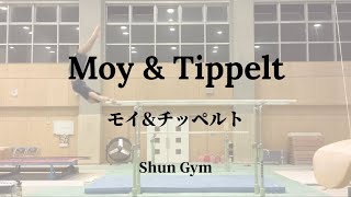 Moy & Tippelt Break down & Useful drills compilation