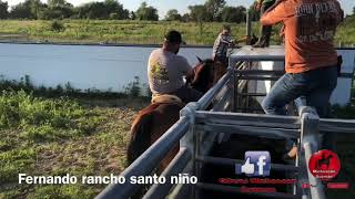 Fernando de rancho santo Niño.