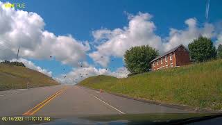 Birds migrate in front of my car!