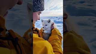 A cute little fox❤️🐙🎣#GiantSeaCreatures #FishingDiscoveries