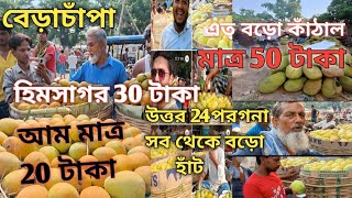 বাংলায় বিখ্যাত আম এর গ্রাম || Mango Only Rs.10/-🙄|| সবচেয়ে বড় আম এর হাঁট || বেড়াচাঁপা আম এর হাঁট