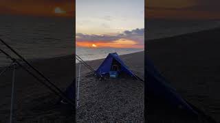 Chesil cod fishing #shorts