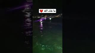 اللهم صل وسلم وبارك على سيدنا محمد وعلى اله وصحبه اجمعين ❤️