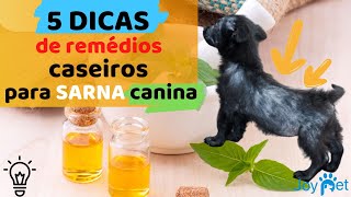 5 DICAS INCRÍVEIS DE REMÉDIOS CASEIROS PARA SARNA EM CÃES 🐶🐾. TRATAMENTOS NATURAIS)🎯♦🌳