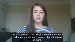 The dangers of ash dieback ❗️🌳🍂