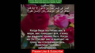 Коран Сура Аль Исра | 17:67 | Чтение Корана с русским переводом | Quran Translation