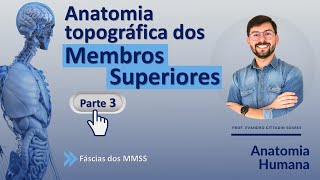 ANATOMIA TOPOGRÁFICA DOS MEMBROS SUPERIORES - PARTE 3 - FÁSCIAS DOS MMSS