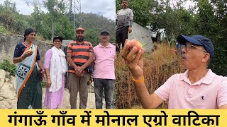 गंगाऊँ गाँव में मोनाल एग्रो वाटिका||Apple Garden in Gangaun Uttrakhand ||Part-1