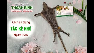 Tắc Kè Khô Ngâm Rượu | Công dụng của tắc kè khô ngâm rượu