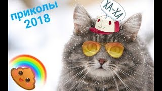 ПРИКОЛЫ ПРО ЖИВОТНЫХ 2018/СМЕШНЫЕ КОТЫ И СОБАКИ/приколы 2018