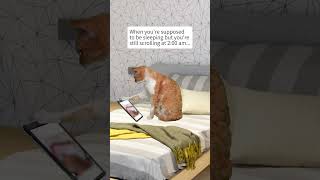 Cat Scrolls Social Media #shorts