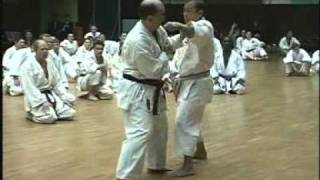 Kumite seminar by Soke Kubota 1997  | Legendary Budo Masters