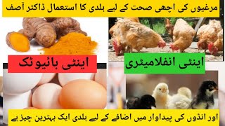 Turmeric For Chickens | poultry me haldi ke fayde | Dr.Asif