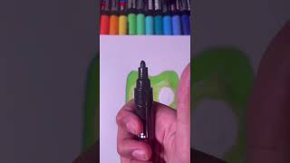 Drawing Duolingo with posca markers! #subscribe #posca