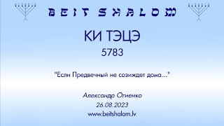 КИ ТЭЦЭ 5783. "Если Предвечный не созиждет дома..." (Александр Огиенко 26.08.2023)