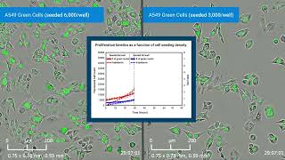 Visualize and Quantify Cellular Proliferation using xCELLigence RTCA eSight