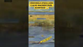 CROCODILO ATACA LEÃO E ALGO INACREDITÁVEL ACONTECE #shorts #shortsvideo #shortsfeed