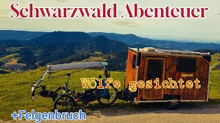 Wölfe/18% Prozent Steigung/Schwarzwald Abenteuer T1