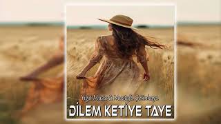 Dilem Ketiye Taye-Kurdish Trap Remix [ Yiğit Music & Mustafa Çetinkaya ] #kurdishtrapremix