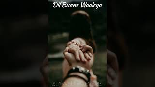 Dil Banaane Waaleya (Slowed + Reverb) | Hrithik , Deepika, Anil | Vishal - Shekhar | Arijit , Jonita