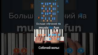 Как играть знаменитый Собачий вальс  🐩🐾 на пианино 🎹по цифрам👆#обучение #пианино #shorts #tiktok