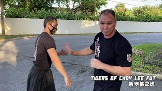 Tigers of Choy Lee Fut - Intro to Swing Punches