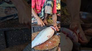 Amazing Kali Baush Fish Cutting Skills In Bangladesh Fish Market By Expert Cutter #shorts