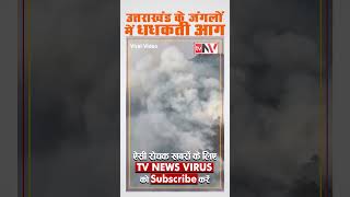 उत्तराखंड के जंगलों में धधक रही आग नैनीताल में हेलीकाप्टर से बुझाई जा रही आग #uttarakhandforestfire