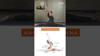 How to do Hanumanasana #sidesplit #hanumanasana #yoga