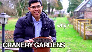 Why Does Gardening Make You Happy?