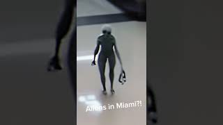 Legit? #Miamialien #aliens #miamialiensighting #aliensighting #alienmiami #miamimall #leakedfootage