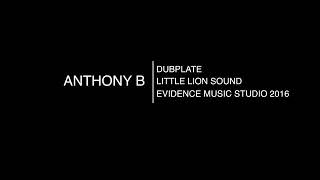 Anthony b - dubplante little lion soud