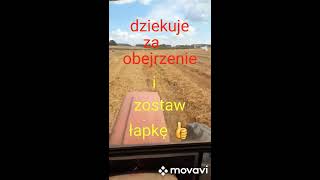 MovaviClips Video 21