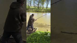 Fishing for carp