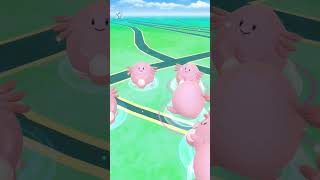 Double Shiny Chansey Luck #Pokemon #communityday #shinypokemon