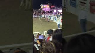 Bull rider gets stepped on by bull#shorts #bull #fyp