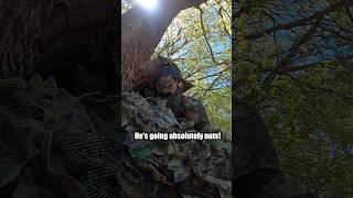 🔥Gobbler Goes NUTS!🔥Turkey Hunting🦃 #turkeyhunting #hunting #gobblegobble